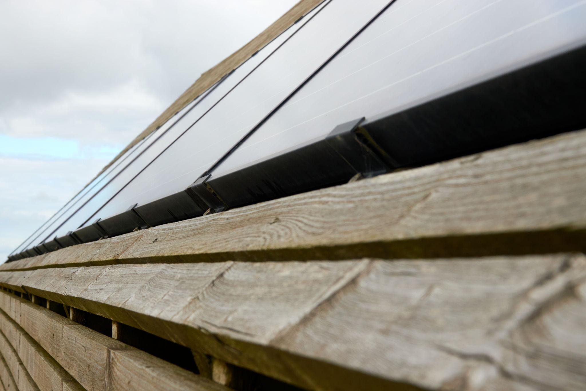 Is this the future of energy? A new claim states engineered wood can convert sunlight into heat