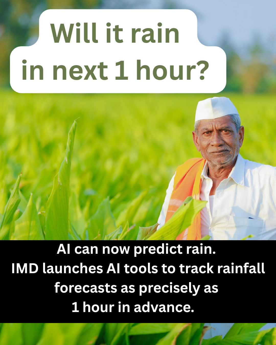 India’s new AI tool can predict rainfall for farmers within 1 km