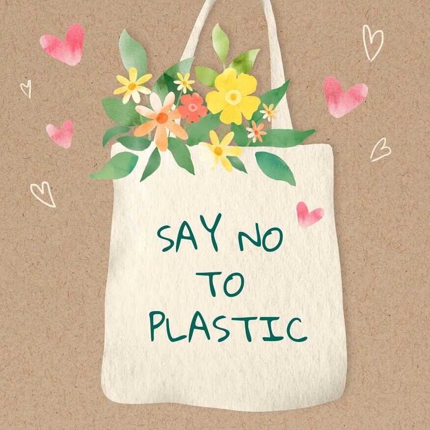 Plastic Bag Free Day 2026: 5 innovations that can make single-use plastic history