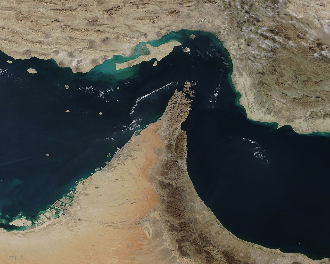 1,500 Ships stranded in the Strait of Hormuz could spread invasive species, scientists warn