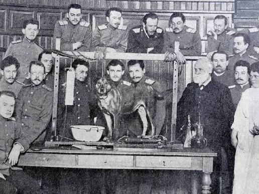 Ivan Pavlov: The physiologist whose digestion experiments changed how we understand learning